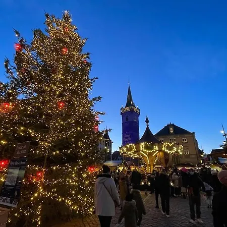 アパート Le Beffroi オベルネ