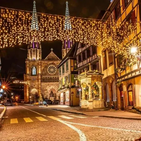 アパート Le Beffroi オベルネ