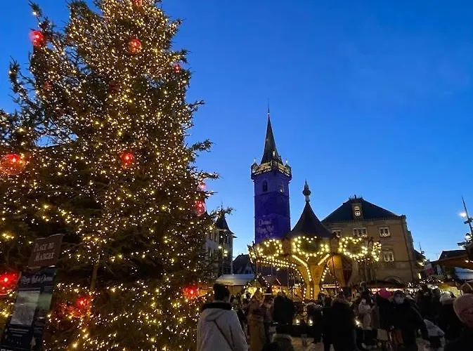 Daire Le Beffroi Obernai